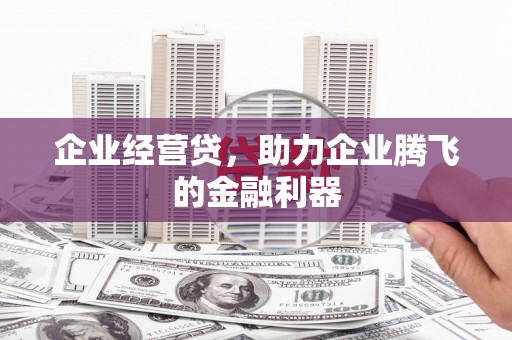 拜城企业经营贷，助力企业腾飞的金融利器