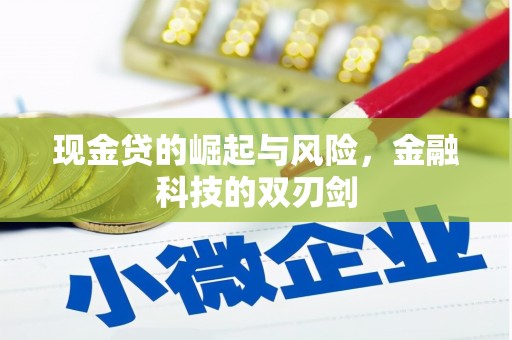 拜城现金贷的崛起与风险，金融科技的双刃剑