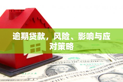 拜城逾期贷款，风险、影响与应对策略