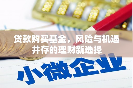 拜城贷款购买基金，风险与机遇并存的理财新选择