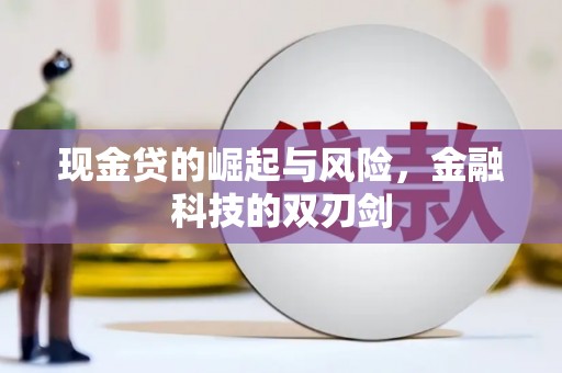 拜城现金贷的崛起与风险，金融科技的双刃剑