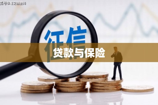 拜城贷款与保险