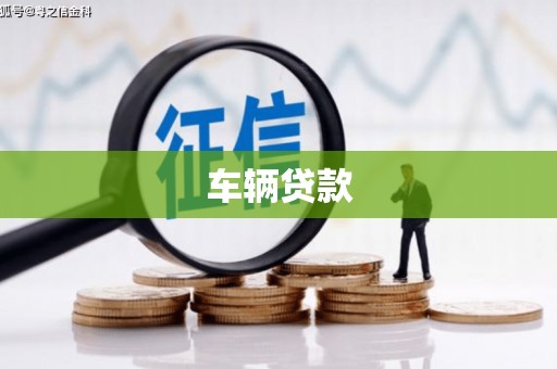 拜城车辆贷款
