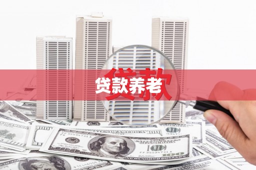 拜城贷款养老