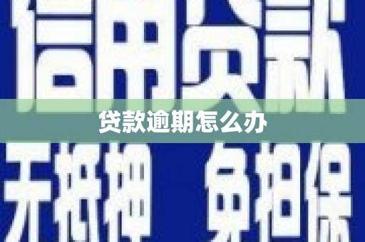 拜城贷款逾期怎么办