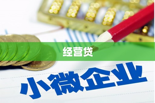 拜城经营贷