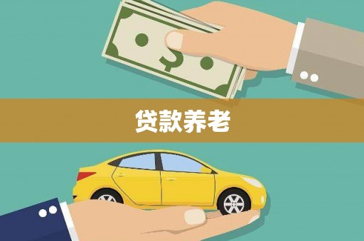 拜城贷款养老