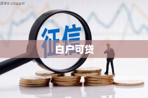 拜城白户可贷