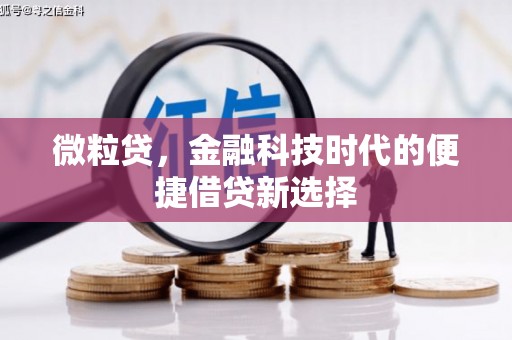 拜城微粒贷，金融科技时代的便捷借贷新选择