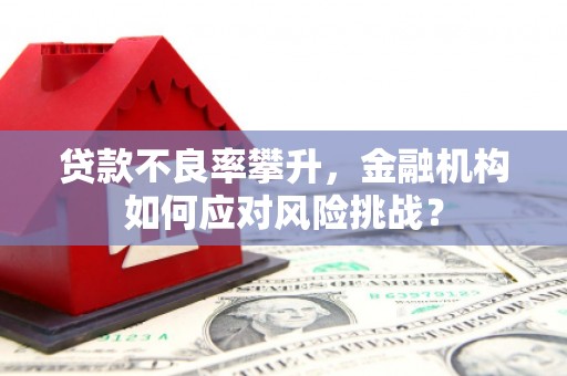 拜城贷款不良率攀升，金融机构如何应对风险挑战？