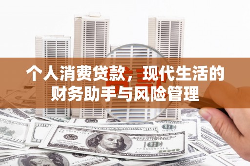 拜城个人消费贷款，现代生活的财务助手与风险管理