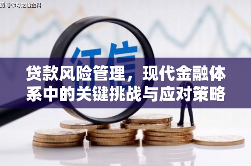 拜城贷款风险管理，现代金融体系中的关键挑战与应对策略