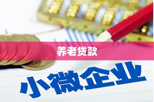 拜城养老贷款