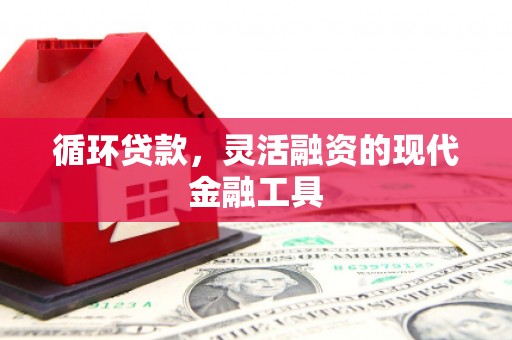 拜城循环贷款，灵活融资的现代金融工具