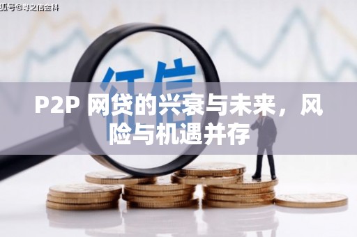拜城P2P 网贷的兴衰与未来，风险与机遇并存